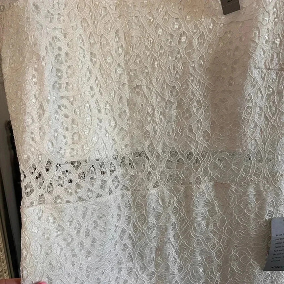 Love x Design • Sheer Panel Lace Dress - size M (8/10) - Picture 5 of 13